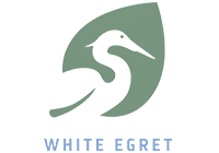 White Egret